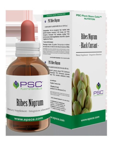 Psc Ribes Nigrum 15 Ml