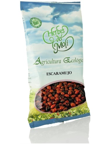 Escaramujo Frutos Eco 110 G