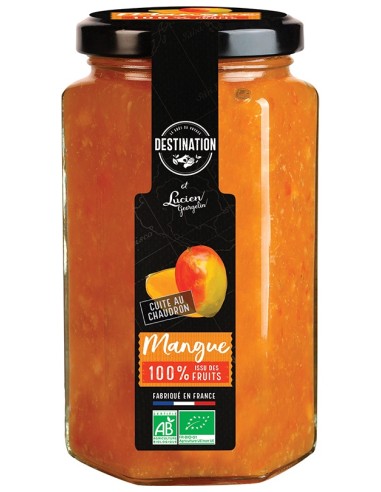 Destination Mermelada Bio Mango 300G