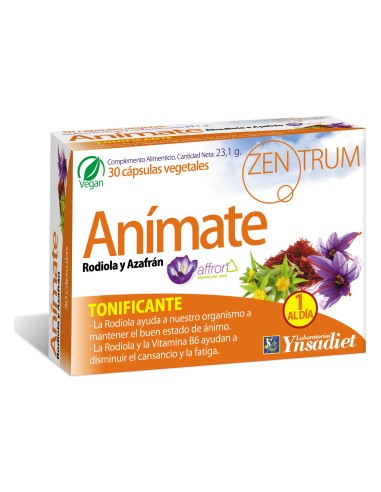 Ynsadiet Animate Zentrum 30Caps