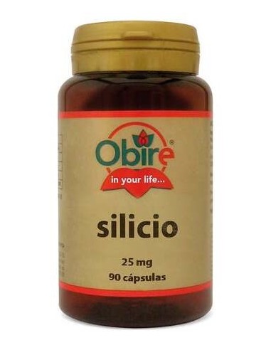 Obire Silicio 25Mg 90Caps