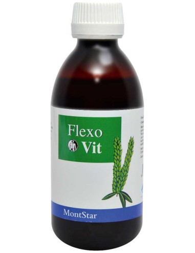 Flexovit 250 Ml