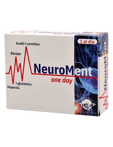 Neuroment One Day