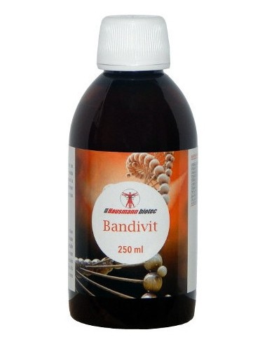 Hausmann Bandivit Jarabe 250Ml