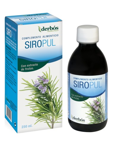 Derbos Siropul 250Ml