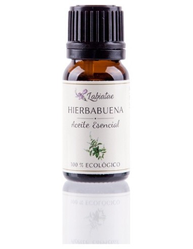 Aceite Esencial De Hierbabuena (Mentha Sativa) 12