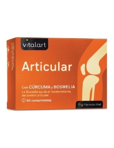 Vitalart Articular 60 Comp