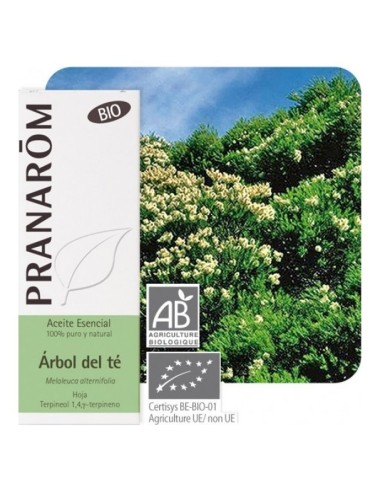 Pranarôm Árbol De Té 10Ml