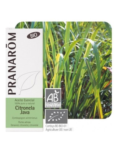 Pranarôm Aceite Esencial De Citronela De Java 10Ml