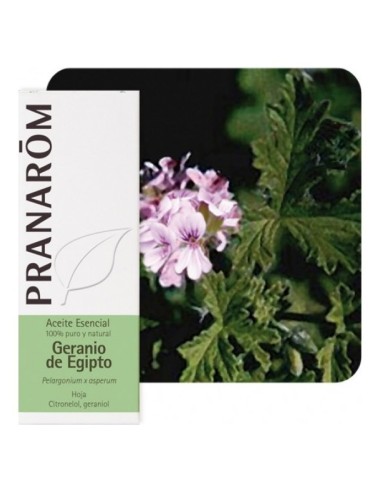 Pranarôm Aceite Esencial De Geranio De Egipto 10Ml