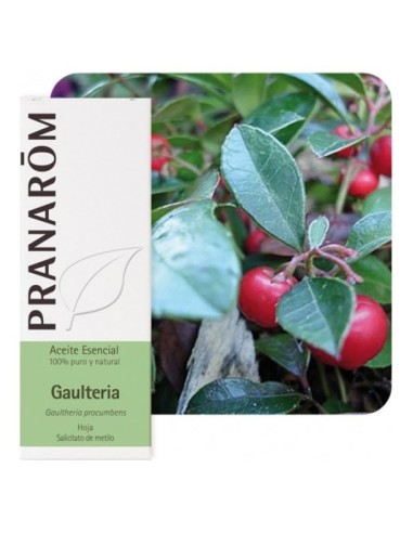 Pranarôm Aceite Esencial De Gaulteria 10Ml