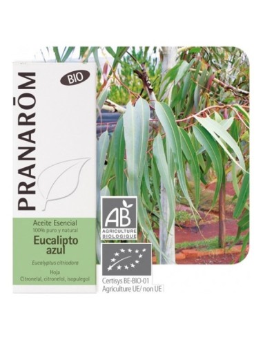 Pranarôm Aceite Esencial De Eucalipto Azul Bio 10Ml