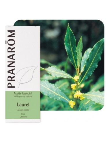 Pranarôm Aceite Esencial De Laurel 5Ml