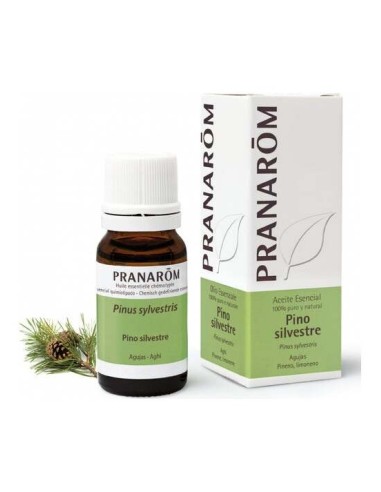 Pranarôm Aceite Esencial De Pino Silvestre 10Ml