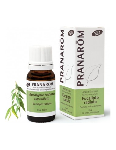 Pranarôm Aceite Esencial De Eucalipto Radiata Bio 10Ml