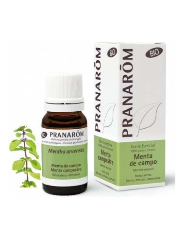 Pranarôm Aceite Esencial De Menta De Campo Bio 10Ml