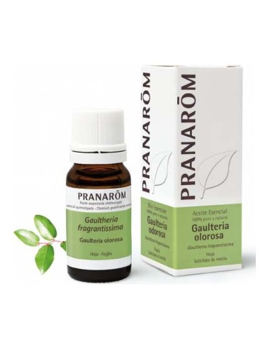 Pranarôm Aceite Esencial De Gaulteria Bio 10Ml