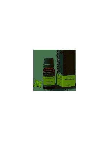 A Esencial Hierbabuena Partes Aereas Bio 10 Ml