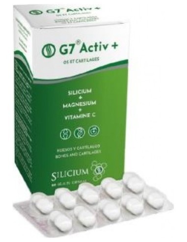 Silicium G 7 Activ+ 60Caps