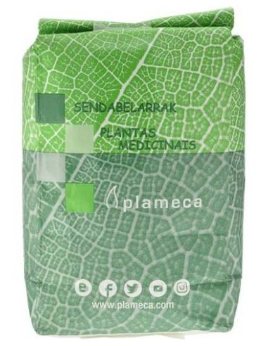 Plameca Eucalipto Hierba Hoja Trit 1Kg