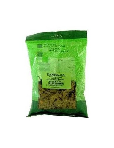 Gayuba Hoja Entera Bolsita 75 G