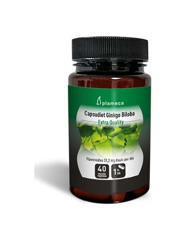 Capsudiet Ginkgo Biloba 40 Caps