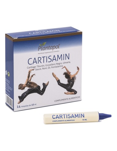 Cartisamin 14 Viales X 10 Ml