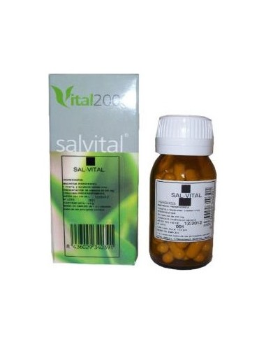 Sal Vital 11''Nm'' 40 Caps