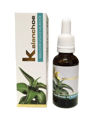 Kalanchoe 30 Ml