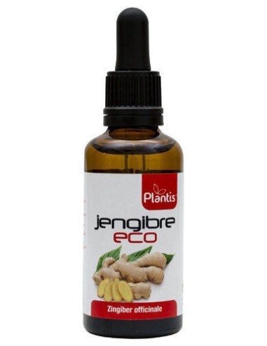 Plantis Ext. Jengibre Eco 50Ml