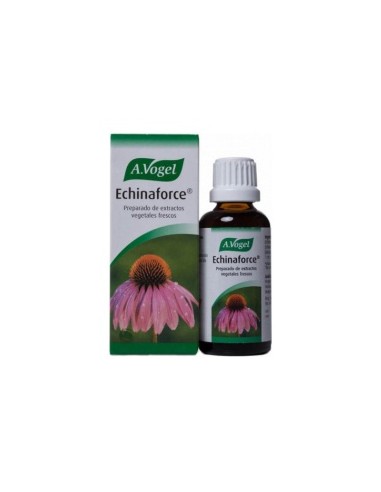 Echinaforce® Gotas 100Ml