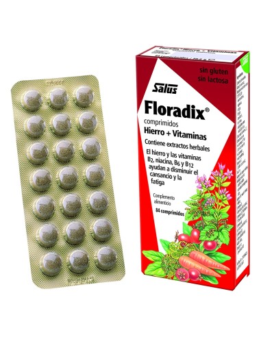 Floradix 84 Comp