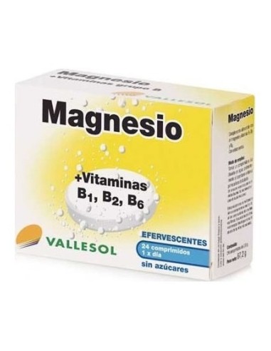 Magnesio Vit B1 B2 B6 Efervescente 24 Comp