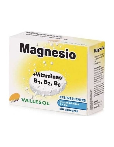 Magnesio Vit B1 B2 B6 Efervescente 24 Comp
