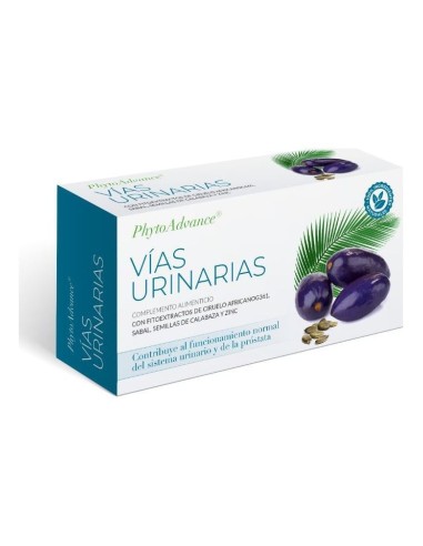 Vias Urinarias 28 Caps