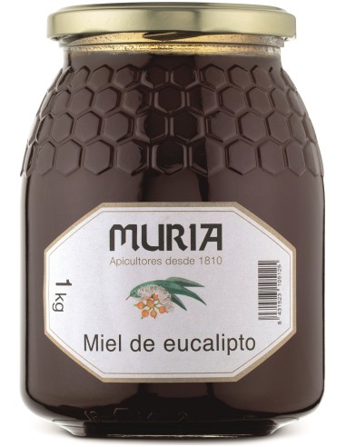 Tarro De Miel Eucalipto 1 Kg