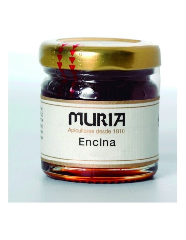 Tarro De Miel Encina 50 G