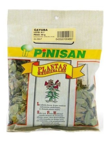 Pinisan Gayuba Hoja 50G