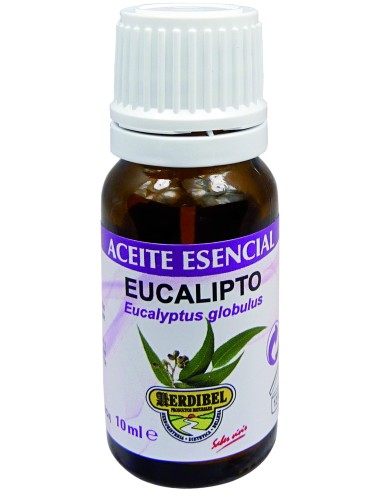 Aceite Esencial De Eucalipto 10 Ml