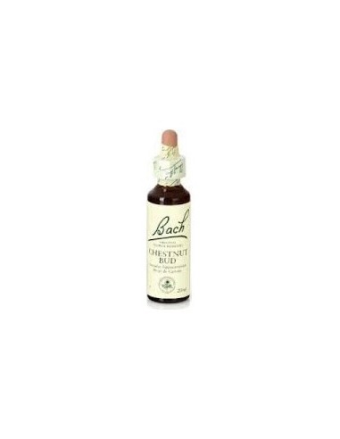 Bach 07 Chestnut Bud 20 Ml Castaño Brote