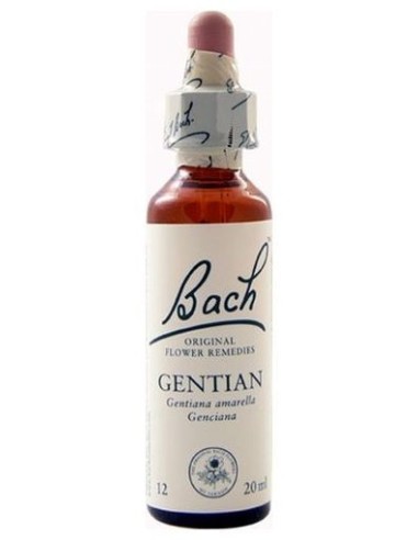 Bach 12 Gentian 20 Ml Flores De Bach Genciana