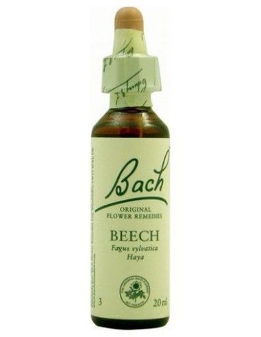 Bach 03  Beech 20 Ml Flores Bach Haya