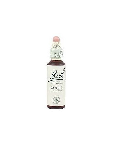 Bach 13 Gorse 20 Ml Flores De Bach Aulaga