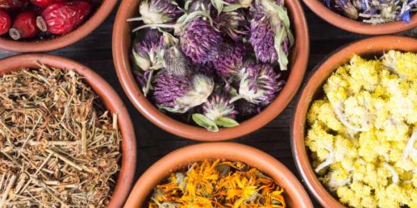 Herbolario en Almussafes y tienda online: productos naturales con asesoramiento cercano